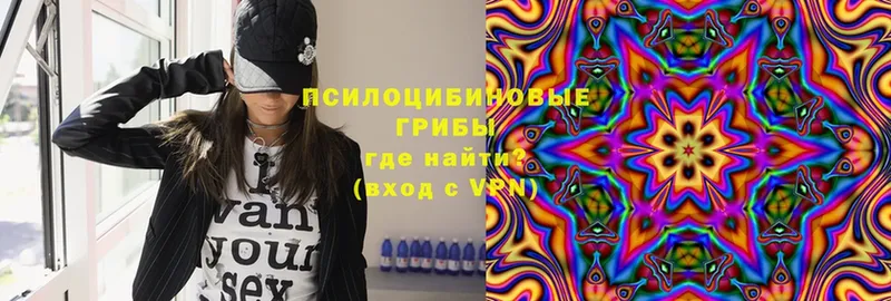 Галлюциногенные грибы Psilocybe  магазин продажи   Белая Холуница 